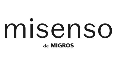 logo_misenso