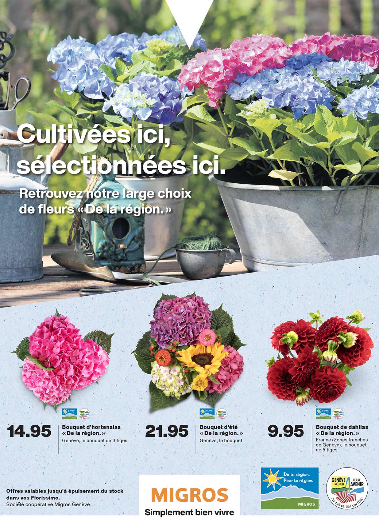 S28_Fleurs-DLR_landingpage