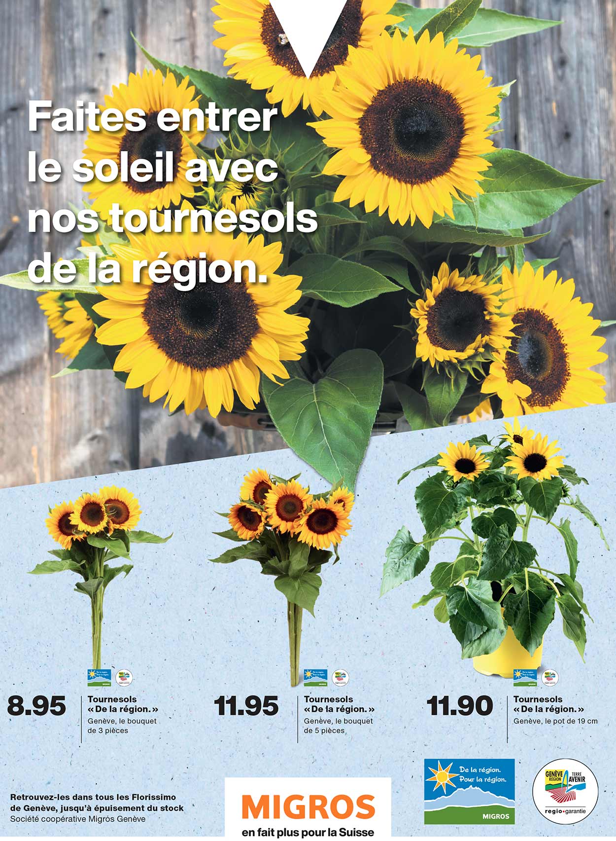 S26_Tournesols_LP